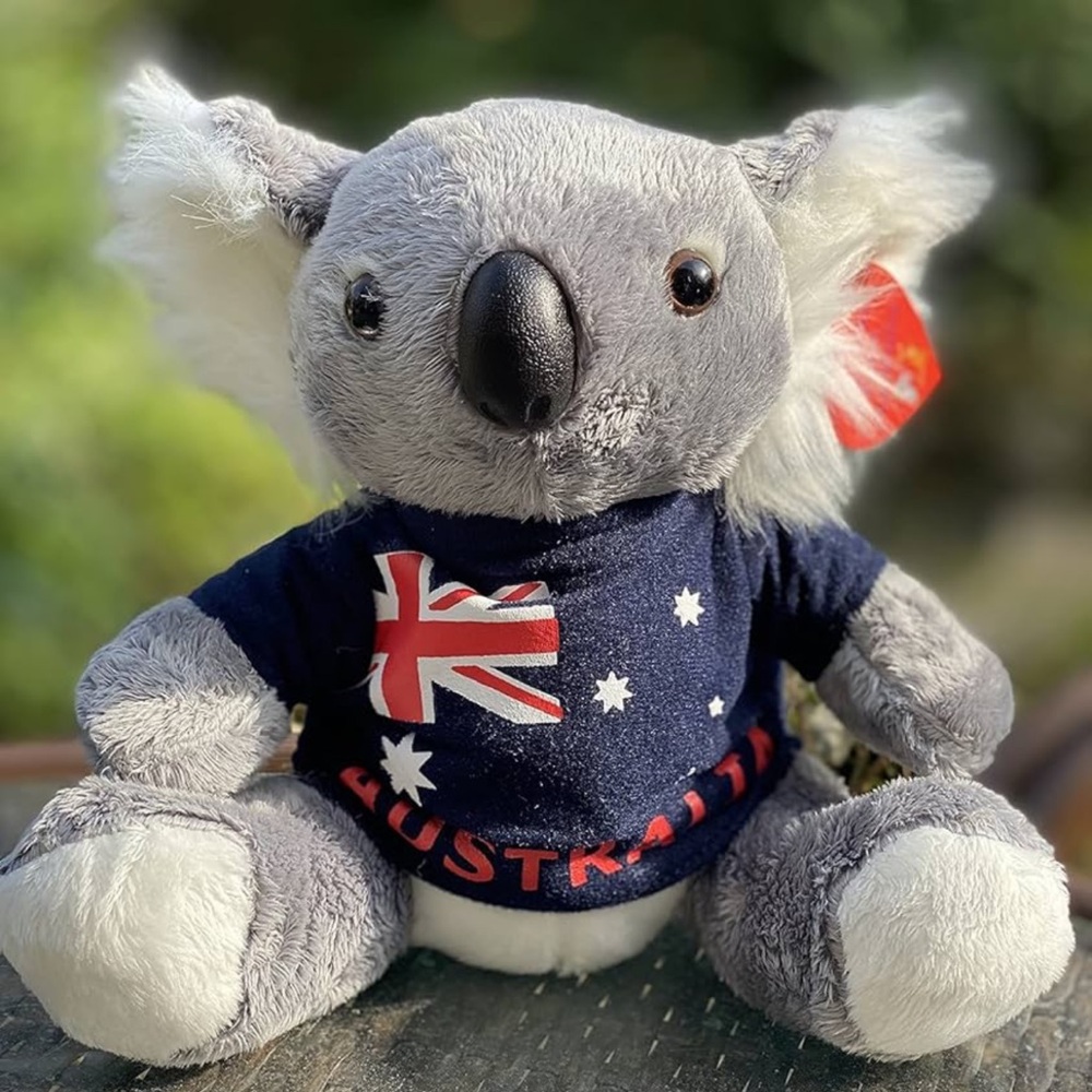 Australia Koala Bear Plush